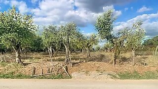 Land for sale in Vila Viçosa, Portugal — €45,000