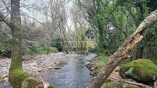 Land for sale in Sintra, Portugal — €80,000