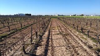 Land for sale in Almeirim, Portugal — €40,000