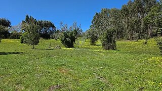 Land for sale in Cadaval, Portugal — €75,000