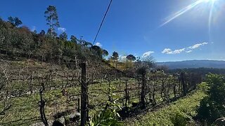 Land for sale in Póvoa de Lanhoso, Portugal — €79,000