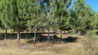 Land for sale in Coruche, Portugal — €32,500
