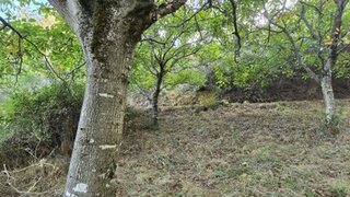 Land for sale in Baião, Portugal — €30,000