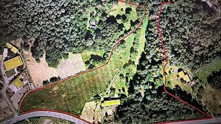 Terreno de 22 221 m² em Viseu