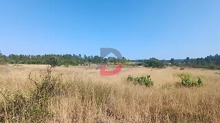 Terreno de 4640 m² em Castelo Branco