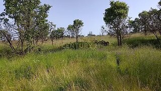 Land for sale in Sabugal, Portugal — €13,500