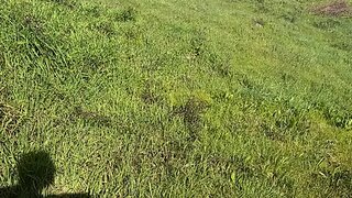Land for sale in Vila Nova de Famalicão, Portugal — €90,000
