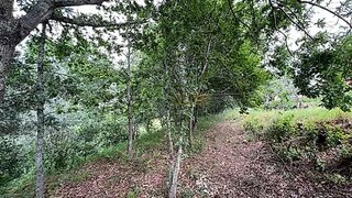 Land for sale in Águeda, Portugal — €39,000