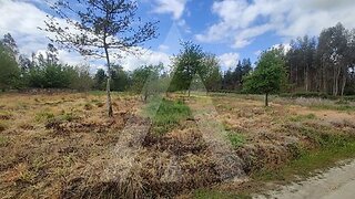 Terreno em Aveiro