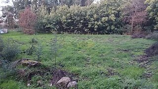Terreno em Mangualde · 4256 m² · 225 000 €
