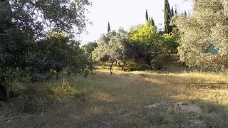 Terreno em Loulé