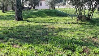 Terreno em Vila Nova de Poiares · 1853 m² · 28 000 €