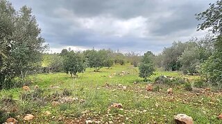 Land for sale in Loulé, Portugal — €67,000
