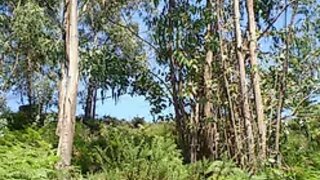 Land for sale in Oliveira de Azeméis, Portugal — €100,000