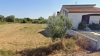 Land for sale in Anadia, Portugal — €32,500