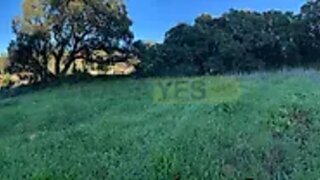 Land for sale in Rio Maior, Portugal — €65,000