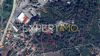 Terreno em Viseu · 6600 m² · 90 000 €