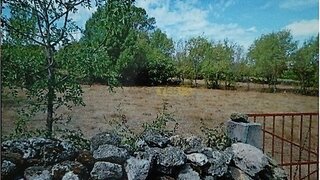 Grond · 1.420 m² · € 20.000
