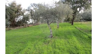 Land for sale in Penamacor, Portugal — €9,000