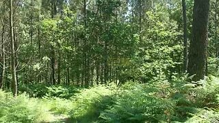 Land for sale in Póvoa de Lanhoso, Portugal — €30,000