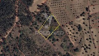Terreno em Alcanena