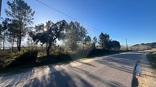 Land for sale in Coruche, Portugal — €195,000