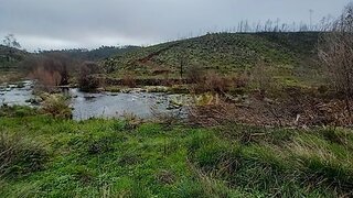 Land for sale in Castelo Branco, Portugal — €7,500