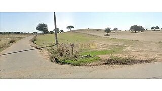 Terreno em Ferreira do Alentejo