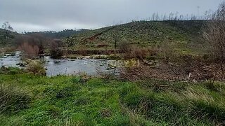 Terreno em Castelo Branco · 10 000 m² · 7500 €
