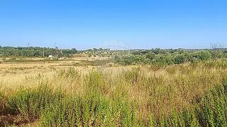 Land for sale in Torres Novas, Portugal — €37,500