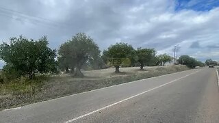 Land for sale in Torres Novas, Portugal — €59,900