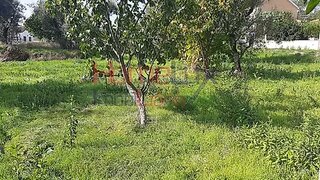 Terreno de 650 m² em Viseu