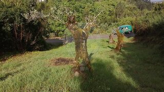 Land for sale in Pombal, Portugal — €23,000