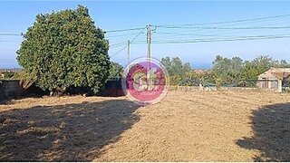 Land for sale in Anadia, Portugal — €39,000