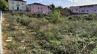 Land for sale in Anadia, Portugal — €195,000