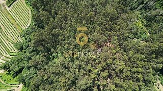 Land for sale in Castelo de Paiva, Portugal — €60,000