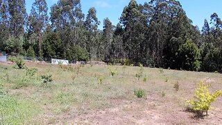 Terreno · 6700 m² · 65 000 €