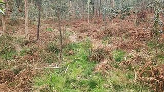 Land for sale in Barcelos, Portugal — €29,500