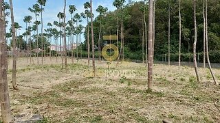 Land for sale in Santa Maria da Feira, Portugal — €107,000