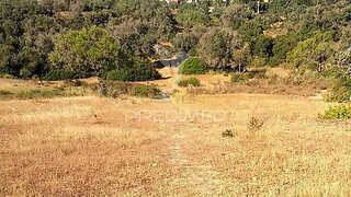 Land for sale in Albufeira, Portugal — €230,000