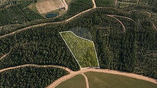 Terreno em Felgueiras