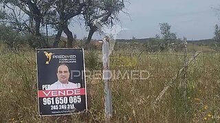 Terreno em Nisa