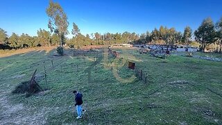 Land for sale in Chamusca, Portugal — €250,000