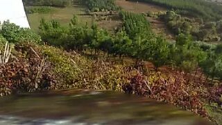 Terreno de 2450 m² em Leiria