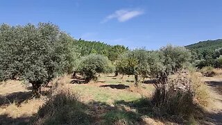 Land for sale in Penamacor, Portugal — €8,700