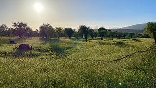 Land for sale in Torres Novas, Portugal — €59,999