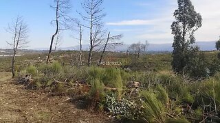 Land for sale in Seia, Portugal — €12,500