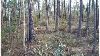 Terreno de 2640 m² em Castelo Branco