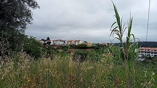 Land for sale in Leiria, Portugal — €960,000