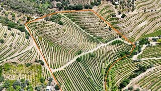 Land for sale in São João da Pesqueira, Portugal — €120,000